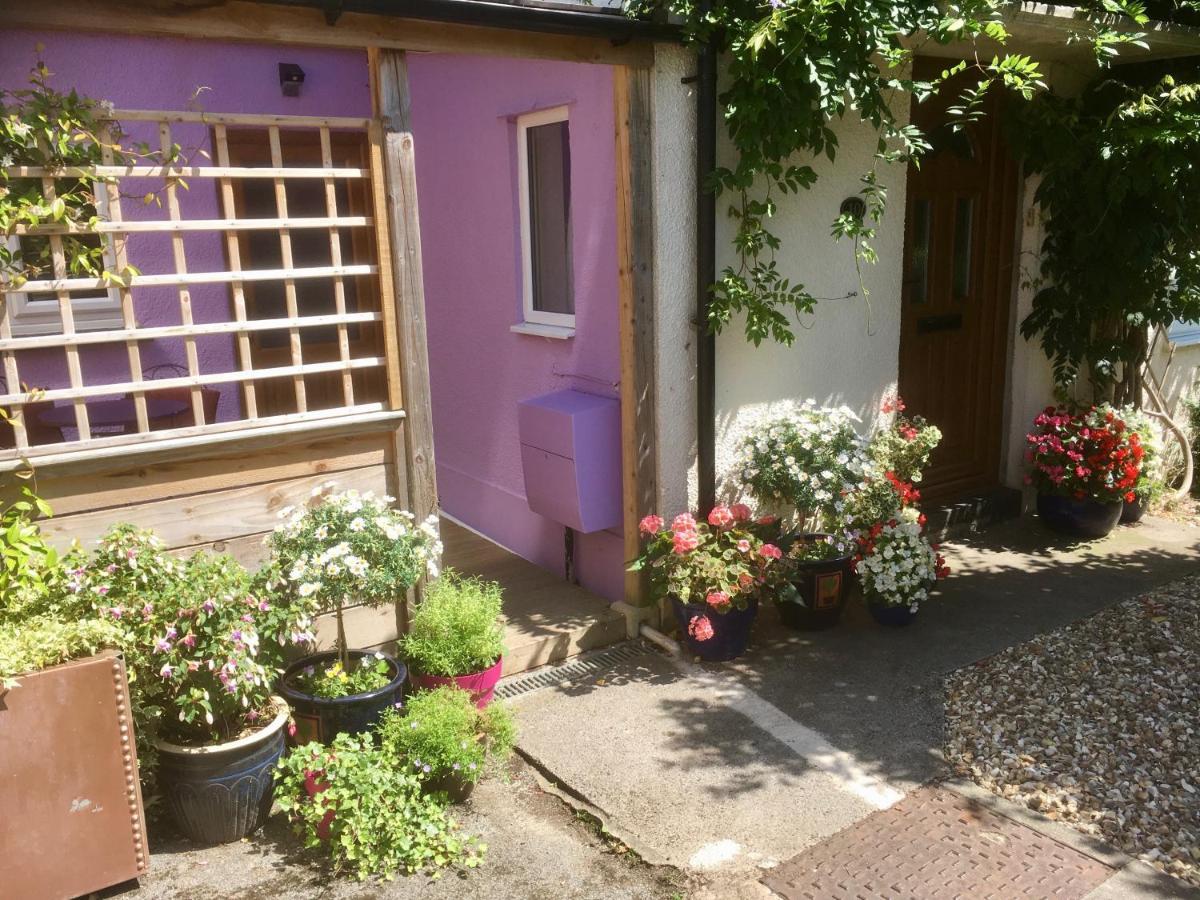 Cute Self-Contained Guest Room With Ensuite And Private Decked Porch In Glastonbury Bagian luar foto